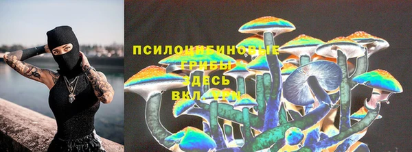 прущий лед Кукмор